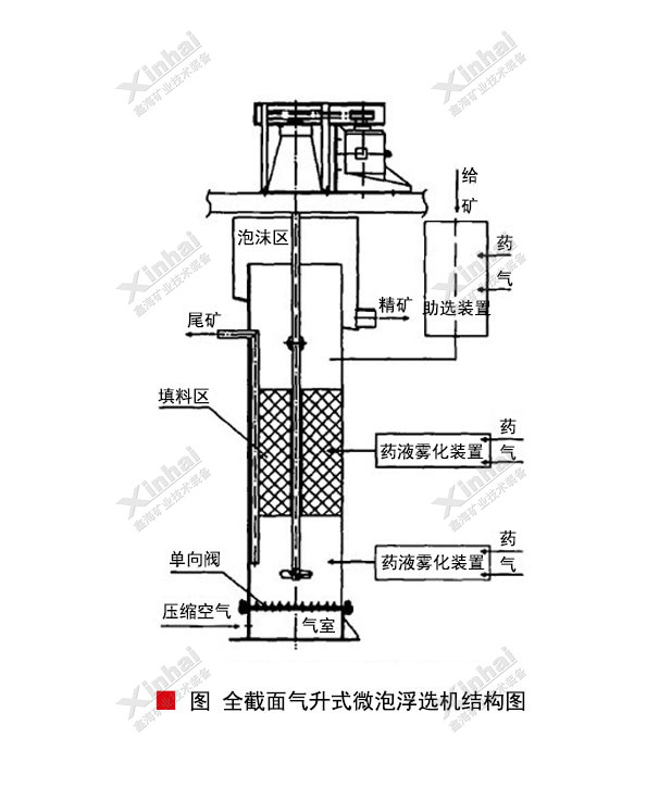 全截面氣升式微泡浮選機結構原理圖